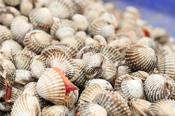 Cockles at street food - Photo, Image