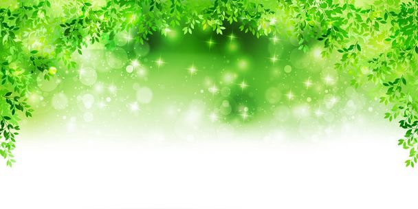 frische grüne Blätter Landschaft Hintergrund - Vektor, Bild
