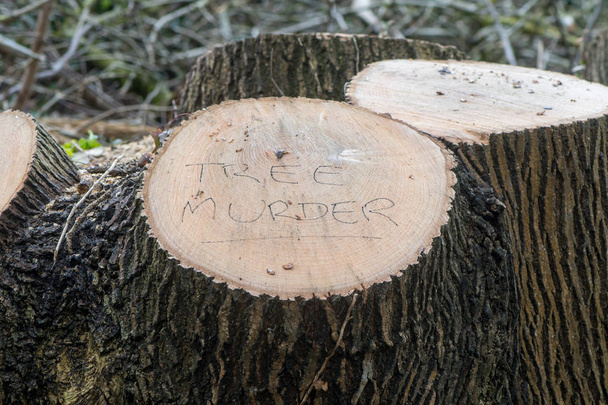 Вбивство дерева, написане на поваленому дереві
 - Фото, зображення
