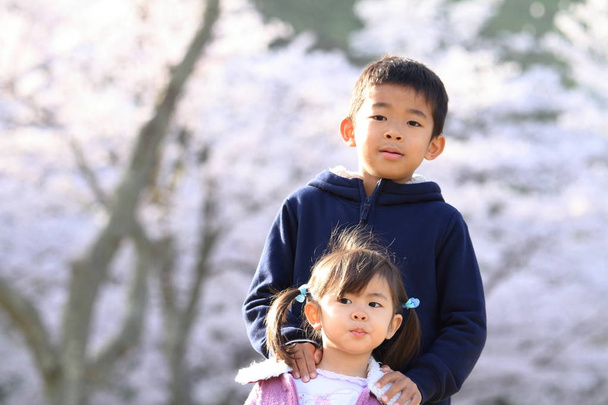 Japanisches Geschwisterpaar mit Kirschblüten (8-jähriger Junge und 3-jähriges Mädchen)) - Foto, Bild