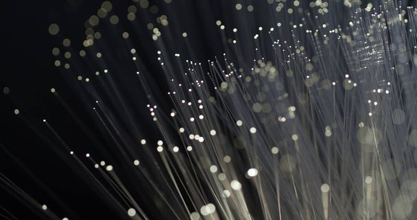 Fiber optics strengen licht  - Foto, afbeelding