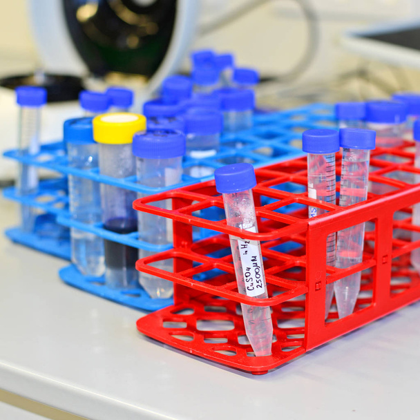 Three racks with many falcone tubes containig solutions for biophysical research - 写真・画像