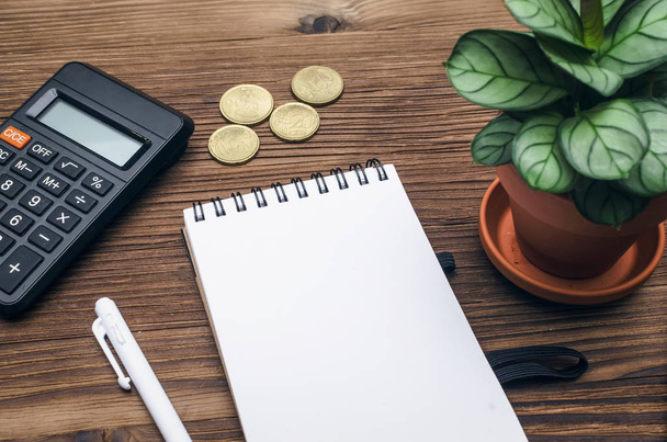 Tax inspector or banker desk table background. Notepad with copy space, pen, calculator and green plant tree on wooden table top view. - 写真・画像