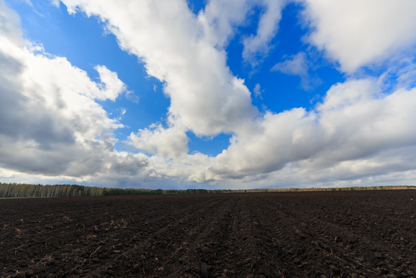 Nubes sobre tierra cultivable primer plano
 - Foto, imagen