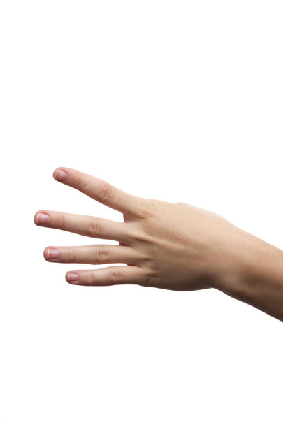 mano que muestra cuatro
 - Foto, Imagen