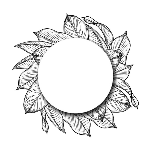 Графічний heliconia листя
 - Вектор, зображення