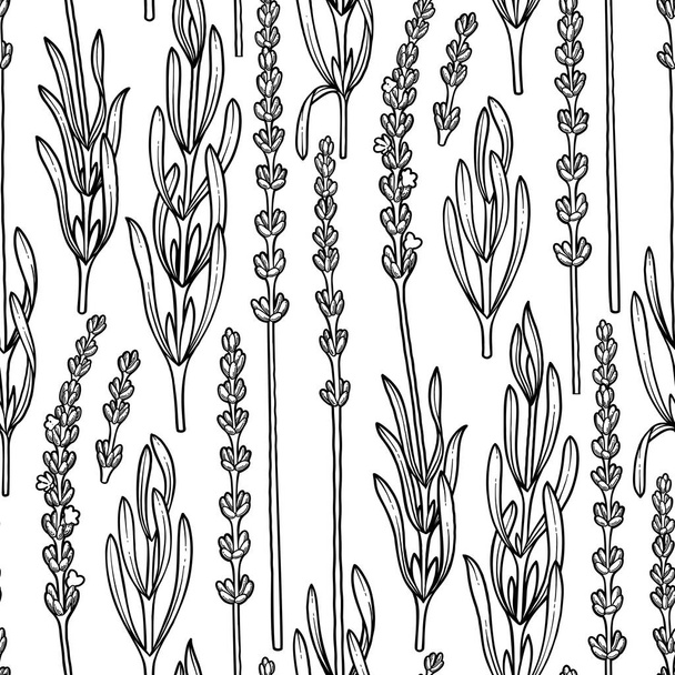 Graphic lavender pattern - Vector, afbeelding