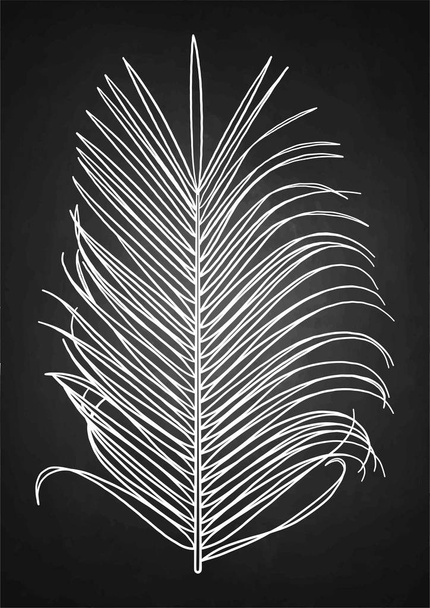 Grafik palmiye yaprağı - Vektör, Görsel