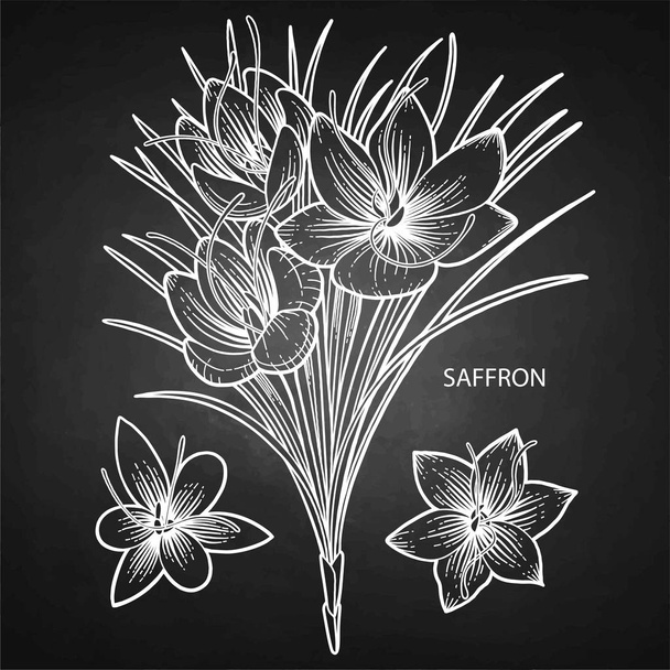 Sáfrány grafikus virágok - Vektor, kép