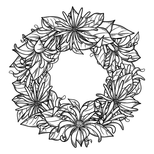 Graphic star anise wreath - Vecteur, image