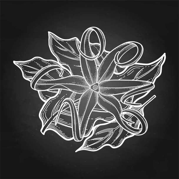 Σχεδιασμός γραφικών ylang ylang - Διάνυσμα, εικόνα