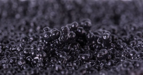 Texture of black caviar  - Photo, Image