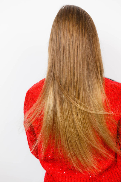 Woman with straight brown long hair. Back view - Foto, Imagem
