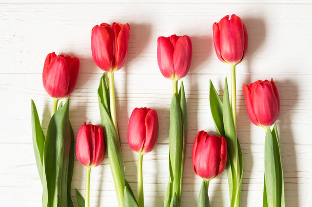 Red tulips on white wooden background. Flat lay. Top view. Copy space. Simple pattern - 写真・画像