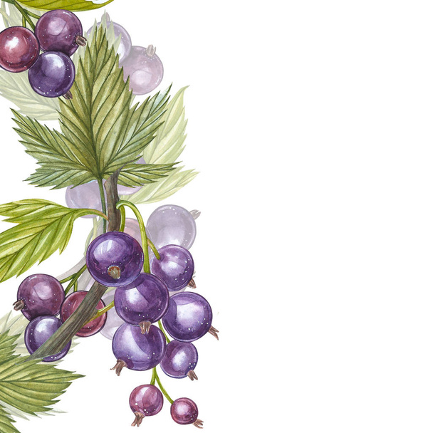 Hand-drawn watercolor blackcurrant. Can be used as a greeting card for background, birthday, mothers day and so on. Romantic background for web pages, wedding invitations, wallpaper. - Foto, Imagem