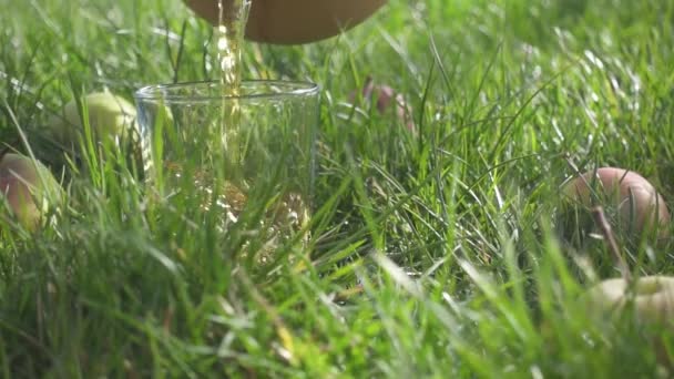 Zeitlupe im Glas auf dem Gras gießt den Saft - Filmmaterial, Video