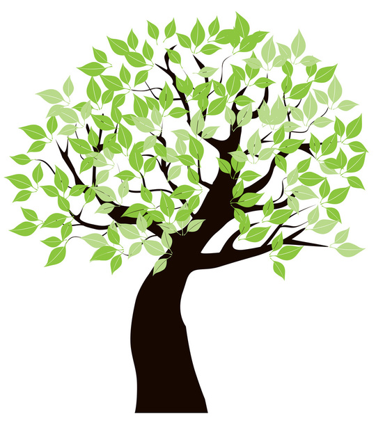Strom se zelenými listy - Vektor, obrázek