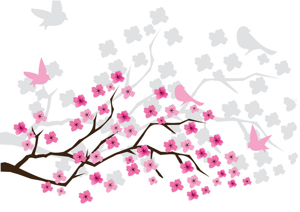 Kirsikankukka - Vektori, kuva