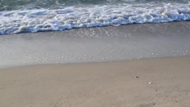 Hullámok a tenger partján homokos strandon - Felvétel, videó