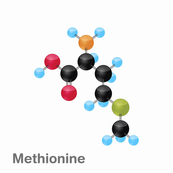 Молекулярный состав и структура метионина, Met, лучше всего подходит для книг и образования
 - Вектор,изображение
