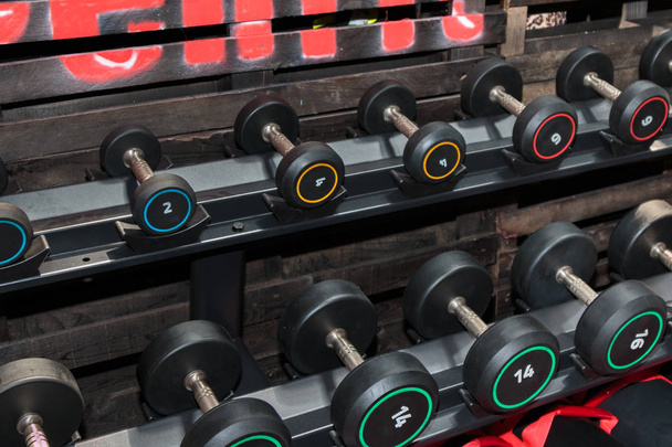Dumbbells preto e aço no ginásio: Equipamentos de musculação
 - Foto, Imagem