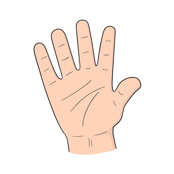 векторний набір мультяшної руки
 - Вектор, зображення