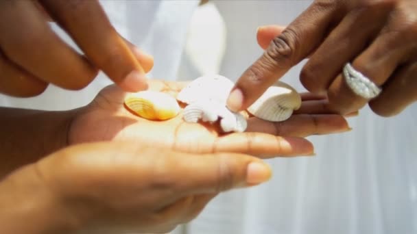 Close up of diverse female and male hands holding sea shells - Footage, Video