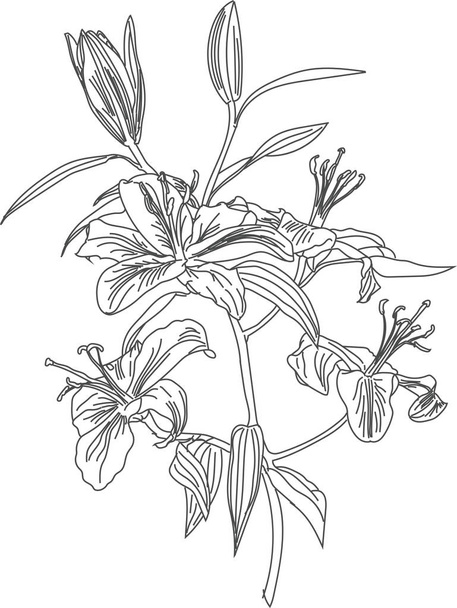 flowers and flower silhouettes drawn by line - Vektori, kuva