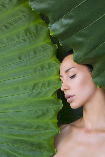 Gyönyörű nő arcát természetes meztelen make-up a trópusi lea - Fotó, kép