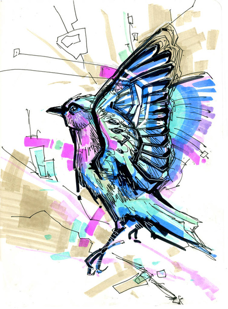 Niebieski ptak pleśniawki - Zdjęcie, obraz