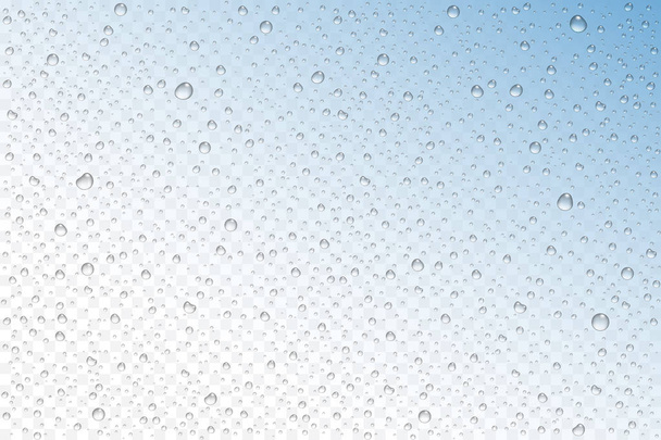 Vector realista gotas de agua condensadas
 - Vector, Imagen