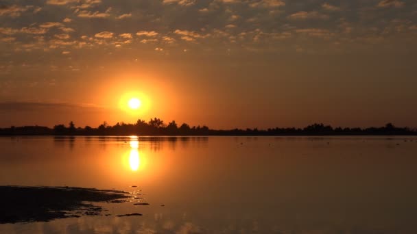 Fantasztikus gyönyörű naplemente, háttérben a nagy víz- és fa láthatáron - Felvétel, videó