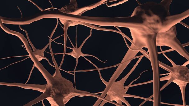 Нерв человеческого мозга в теле. Нейтральные клетки. 3D рендеринг
. - Фото, изображение