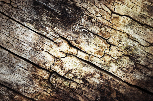 abstract achtergrond of textuur oude verrot hout - Foto, afbeelding