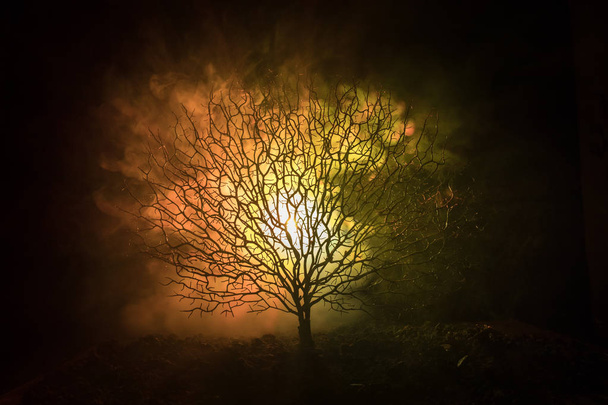 Silhouette d'arbre effrayant d'Halloween avec le visage d'horreur sur fond sombre brumeux avec la lune sur le côté arrière. Arbre d'horreur effrayant avec des visages de zombie et de démon
. - Photo, image