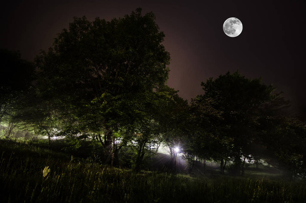 Prachtige nacht landschap van grote volle maan stijgt boven de mountain road met hill en bomen, mystieke concept - Foto, afbeelding
