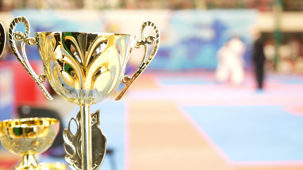 Karate turnuvada mücadele önünde Altın Kupa - Video, Çekim
