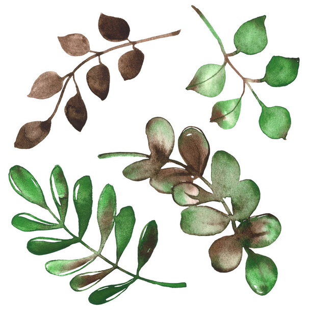 Acuarela verde y marrón ramas
 - Foto, Imagen