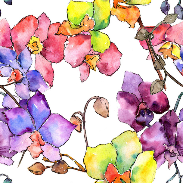 Kleurrijke orchidee. Floral botanische bloem. Wild voorjaar blad wildflower patroon. - Foto, afbeelding