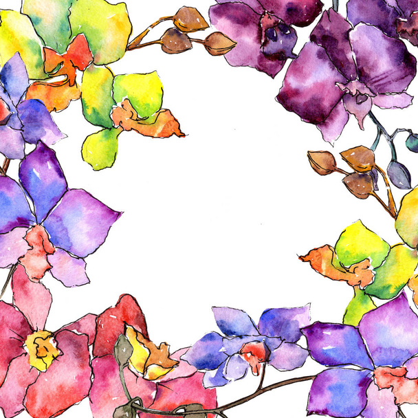 orchidea colorata. Fiore botanico floreale. Cornice selvatica foglia di primavera fiore selvatico
. - Foto, immagini