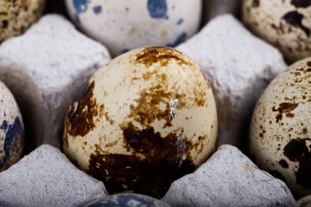  top view Easter quail eggs  in one box - Foto, Imagem