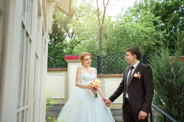 beautiful loving young couple groom and bride walking in summer park - Photo, Image