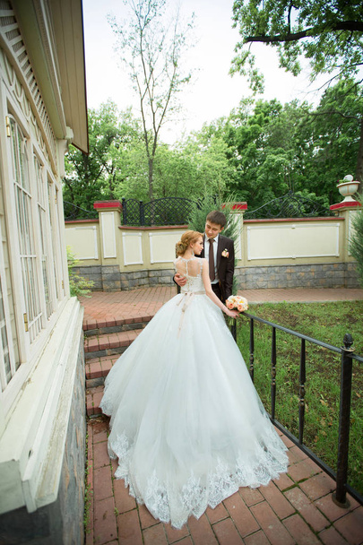 beautiful loving young couple groom and bride walking in summer park - Φωτογραφία, εικόνα