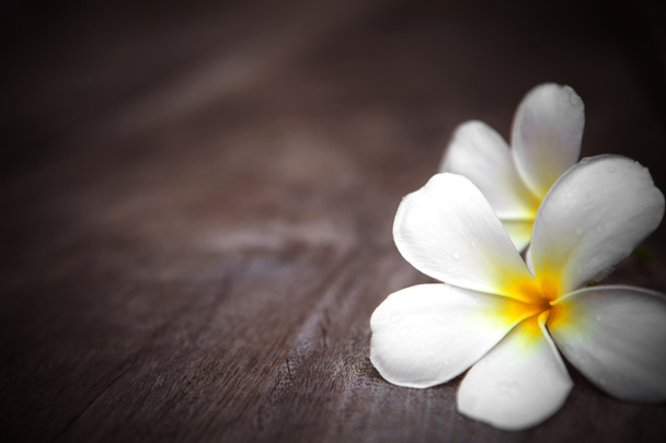 Белый цветок франджипани на текстурированном фоне
 - Фото, изображение