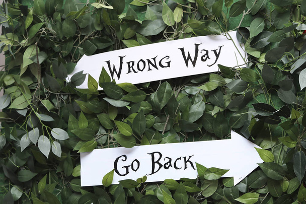 Right and wrong signs (Alice in Wonderland) - Photo, Image