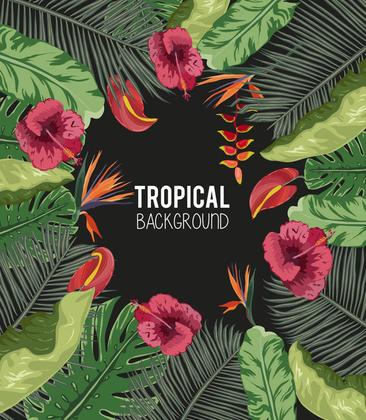 Hintergrund mit tropischen Pflanzen - Blumen und Pflanzen Natur - Vektor, Bild