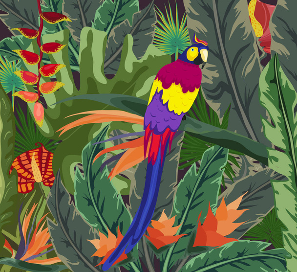 Affiches flore et faune tropicales, Fond tropical, plante, perroquet
 - Vecteur, image