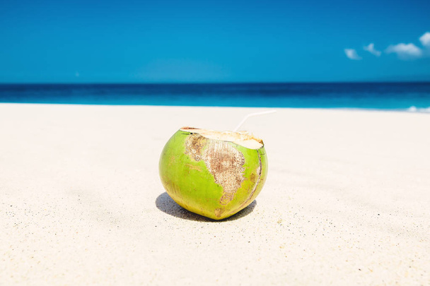 Tropical beach, ocean and coconut in Bali - Фото, зображення