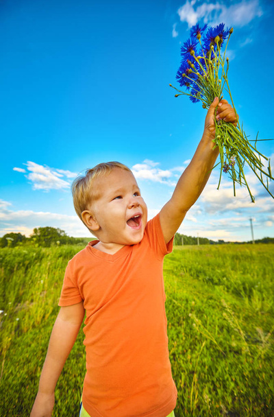 Boy with cornflowers  - Фото, зображення