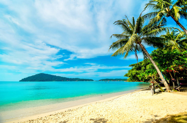 熱帯の島のヤシの木と空のビーチ。海での休暇. - 写真・画像